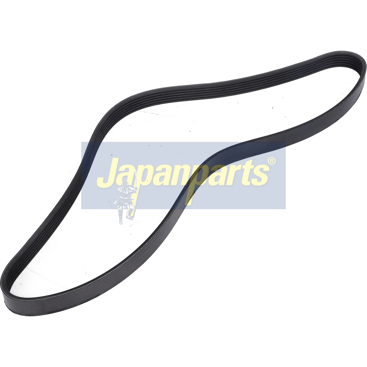 JAPAN CINGHIA POLY-V