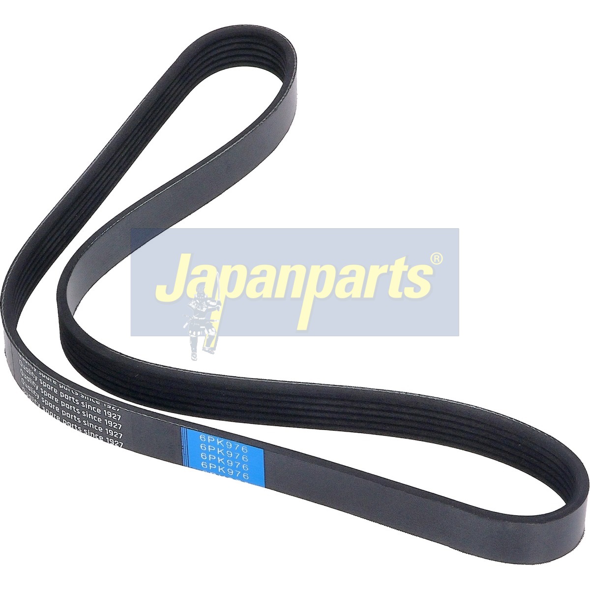 JAPAN CINGHIA POLY-V