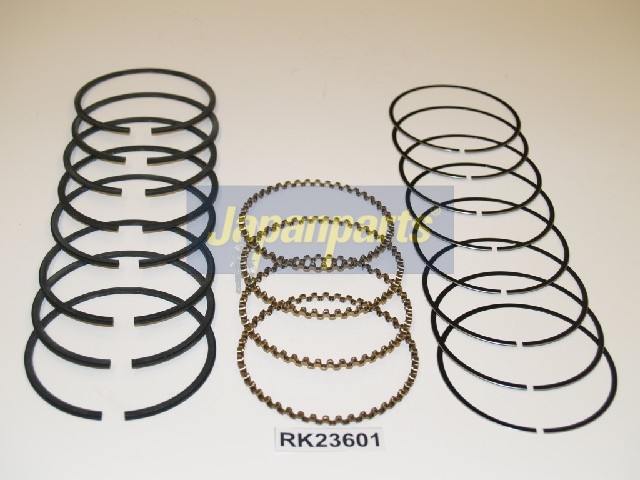 FASCIA ELASTICA