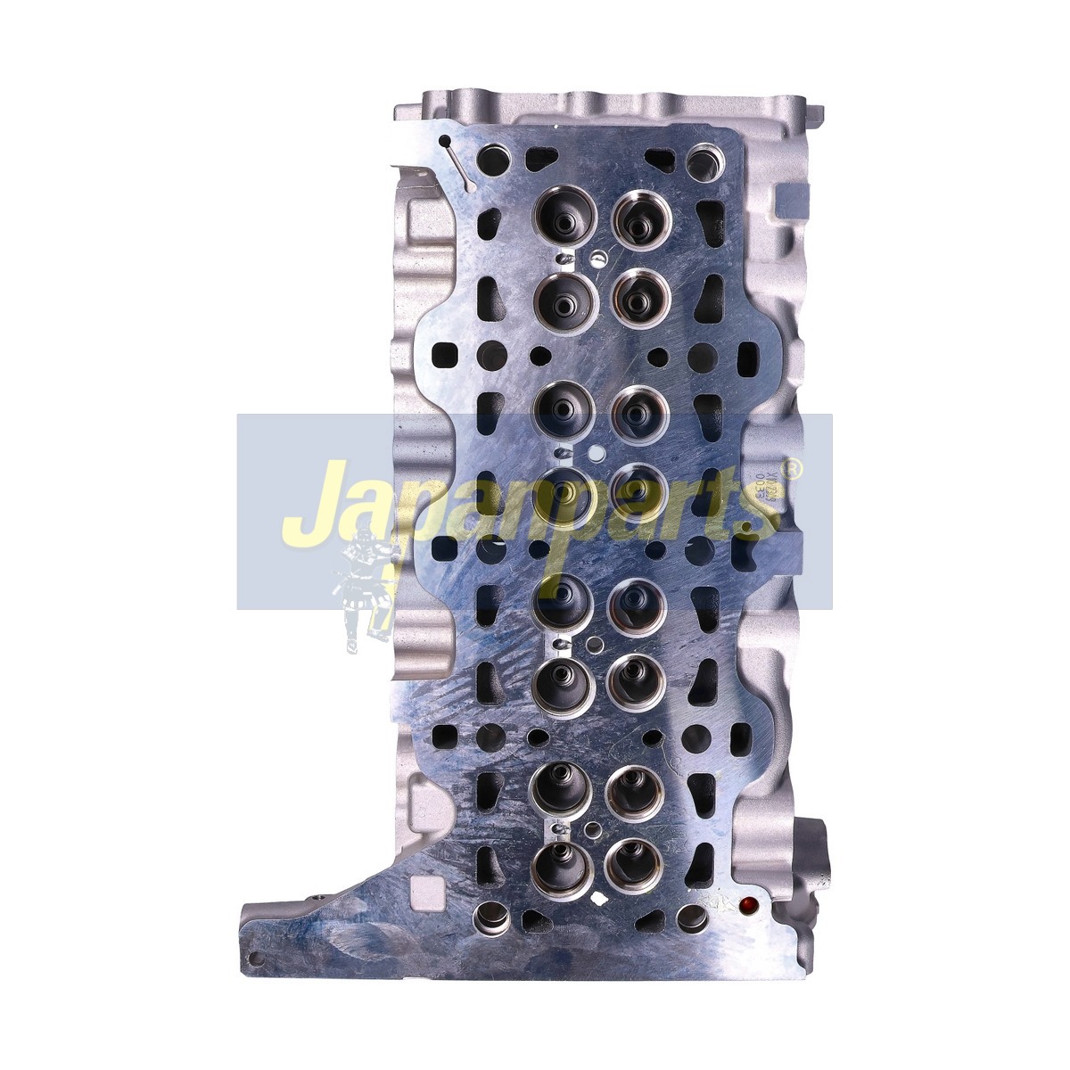JAPAN TESTATA