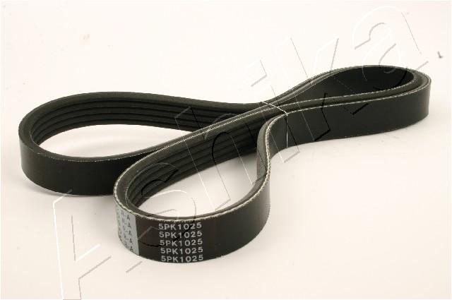 CINGHIA POLY-V