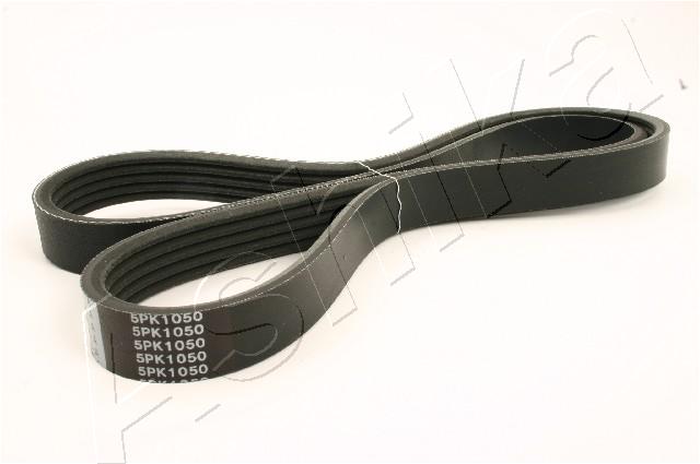 CINGHIA POLY-V