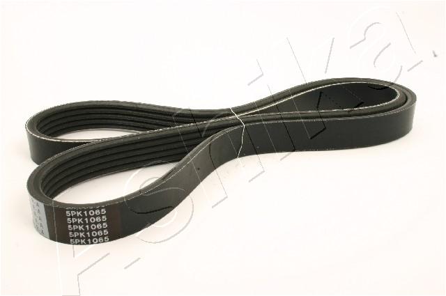 CINGHIA POLY-V