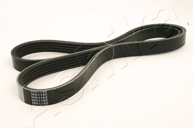 CINGHIA POLY-V