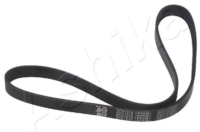 CINGHIA POLY-V