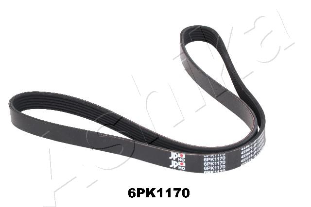 CINGHIA POLY-V