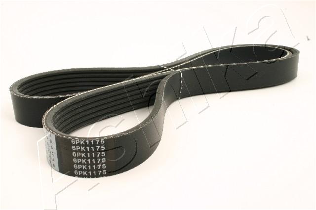 CINGHIA POLY-V