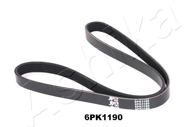 CINGHIA POLY-V