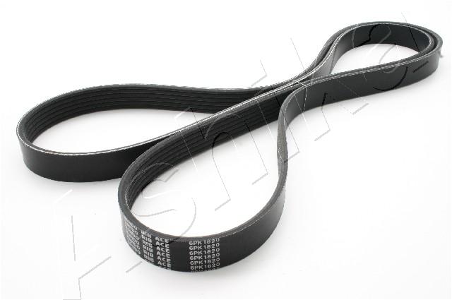 CINGHIA POLY-V