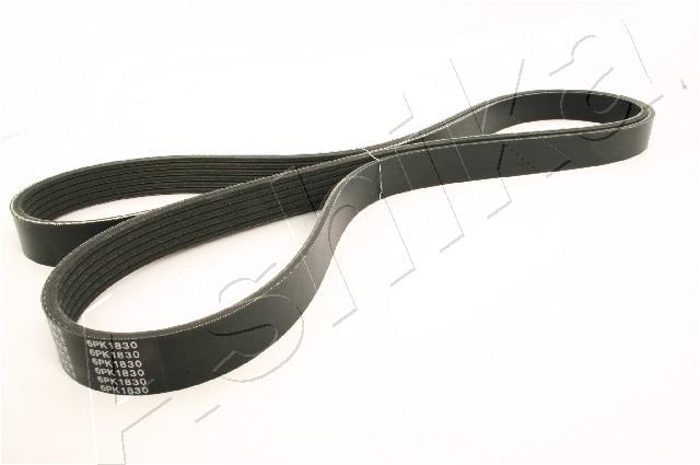 CINGHIA POLY-V