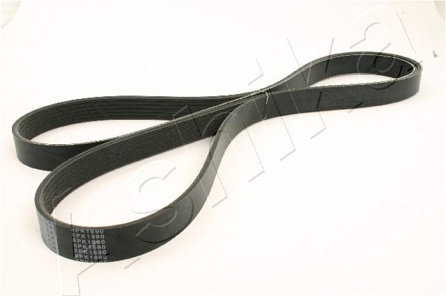 CINGHIA POLY-V