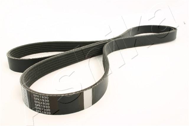 CINGHIA POLY-V