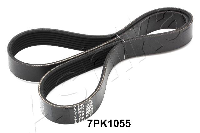 CINGHIA POLY-V