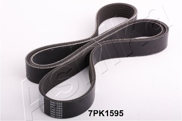 CINGHIA POLY-V