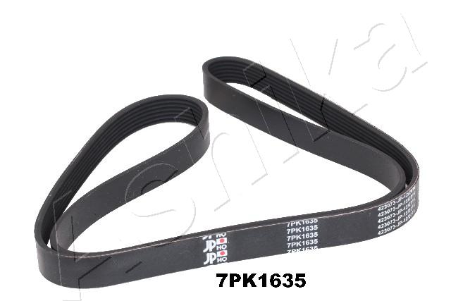 CINGHIA POLY-V