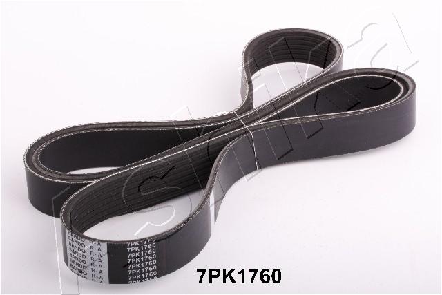 CINGHIA POLY-V