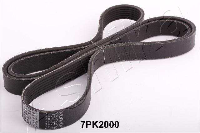 CINGHIA POLY-V