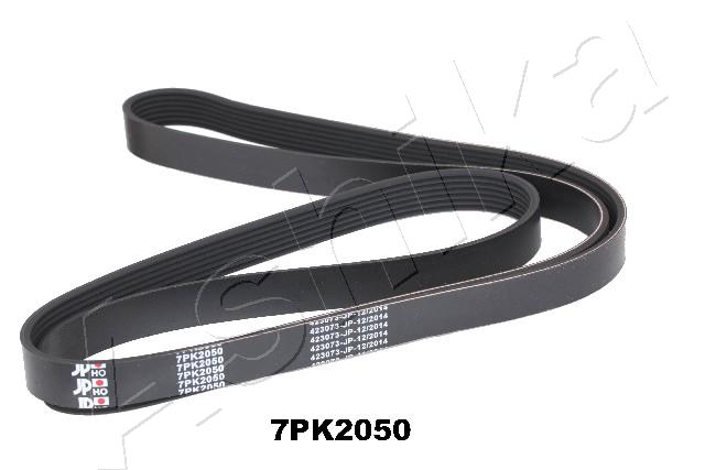 CINGHIA POLY-V