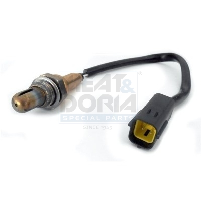 MEAT SONDE LAMBDA