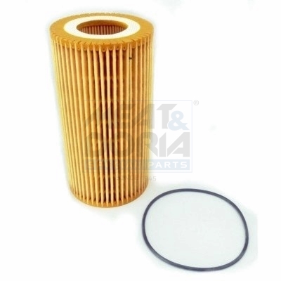 Filtro olio MEAT & DORIA 14059