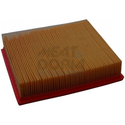 Filtro aria MEAT & DORIA 16529