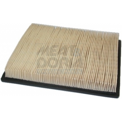 Filtro aria MEAT & DORIA 18046