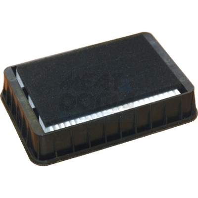 Filtro aria MEAT & DORIA 18399