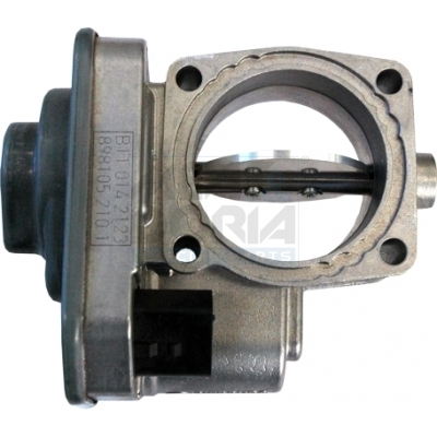 Corpo farfallato MEAT & DORIA 89124