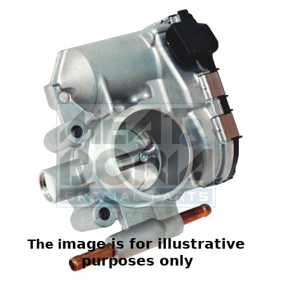Corpo farfallato MEAT & DORIA 89132R