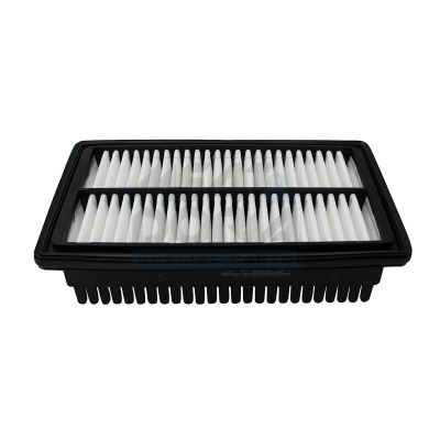 Filtro aria MEAT & DORIA 18707
