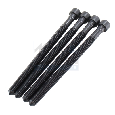 Bullone, supporto iniettore MEAT & DORIA 98510