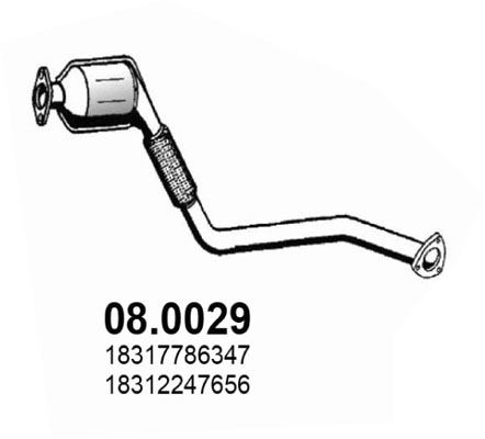 Catalizzatore ASSO 08.0029