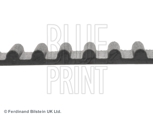 CINGHIA DISTRIBUZIONE