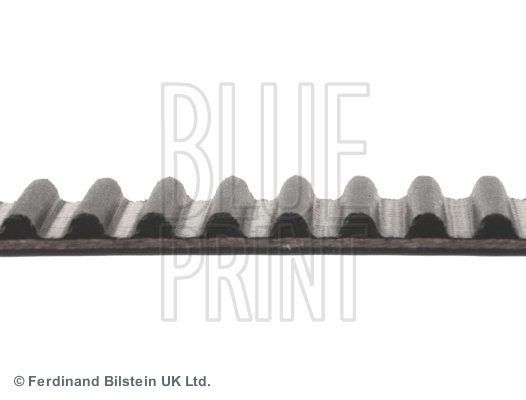 CINGHIA DISTRIBUZIONE