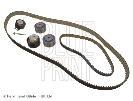 KIT CINGHIE DENTATE