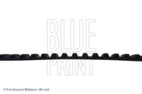 CINGHIA DISTRIBUZIONE