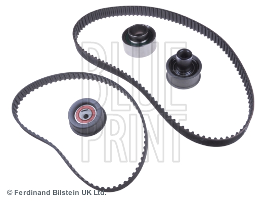 KIT CINGHIE DENTATE