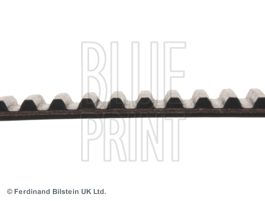 CINGHIA DISTRIBUZIONE