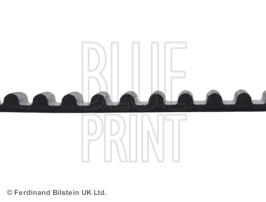 CINGHIA DISTRIBUZIONE