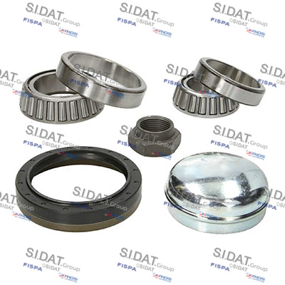 Kit cuscinetto ruota SIDAT 460581
