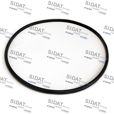 SIDAT GUARN.GRUPPO ASP CARB.CITROEN BERLINGO 1.6HDI 10-