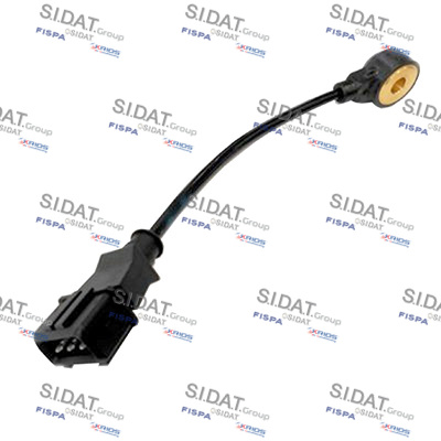 SIDAT SENSORE DETONAZIONE