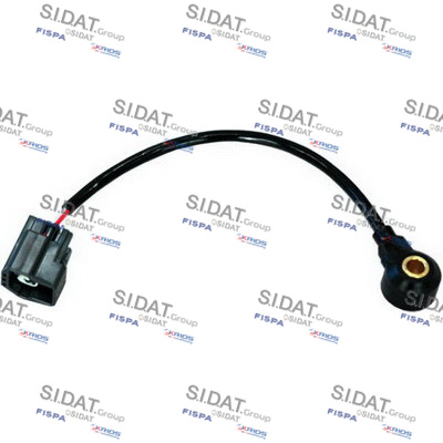 SIDAT S. DETONAZIONE FORD C-MAX 1.8 -10