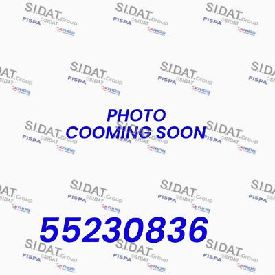Cavo comando, cambio manuale SIDAT BH020100