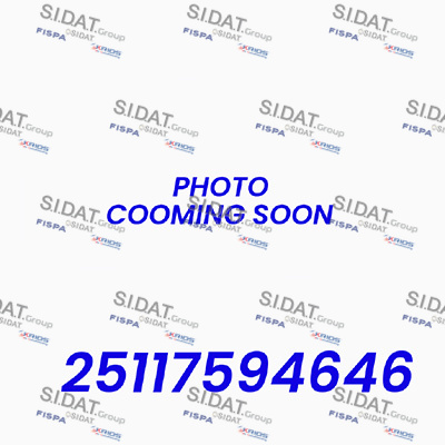 Cavo comando, cambio manuale SIDAT BH020124