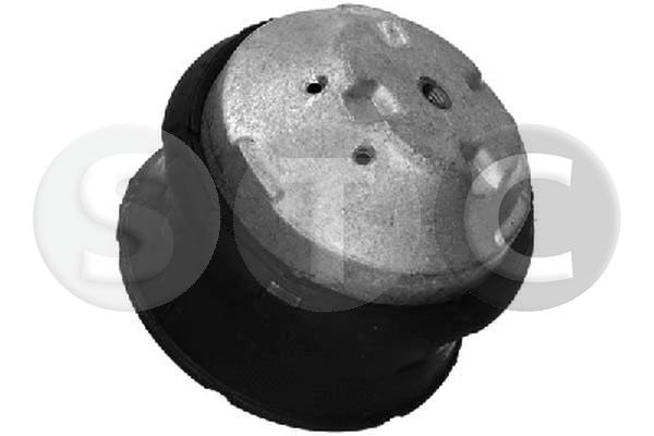 Sospensione, motore STC T401021
