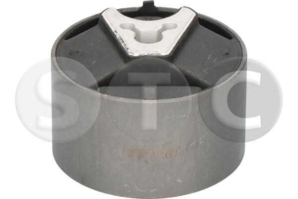 Sospensione, motore STC T405661