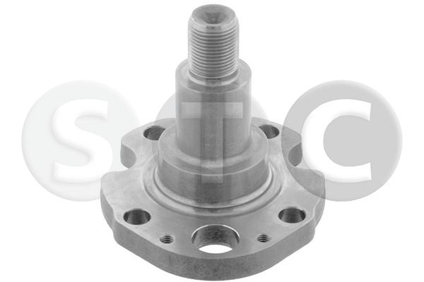 Fusello, corpo assiale STC T415317