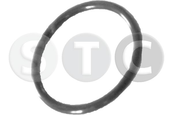 Guarnizione, condotto d. refrigerante STC T439294
