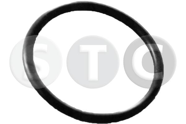 Guarnizione, condotto d. refrigerante STC T439350